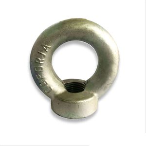 Porca olhal c/anel din 582 1/4